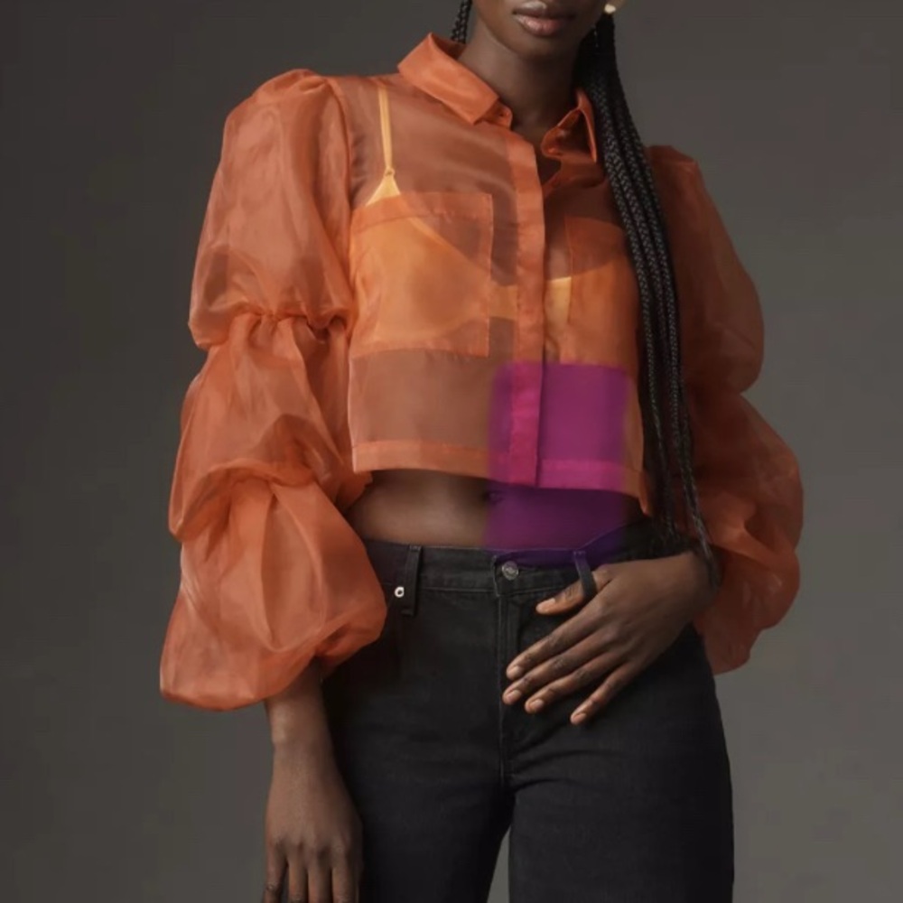 Anthropologie Sunday in Brooklyn Sheer Puff-Sleeve Buttondown Shirt - Picture 4 of 6